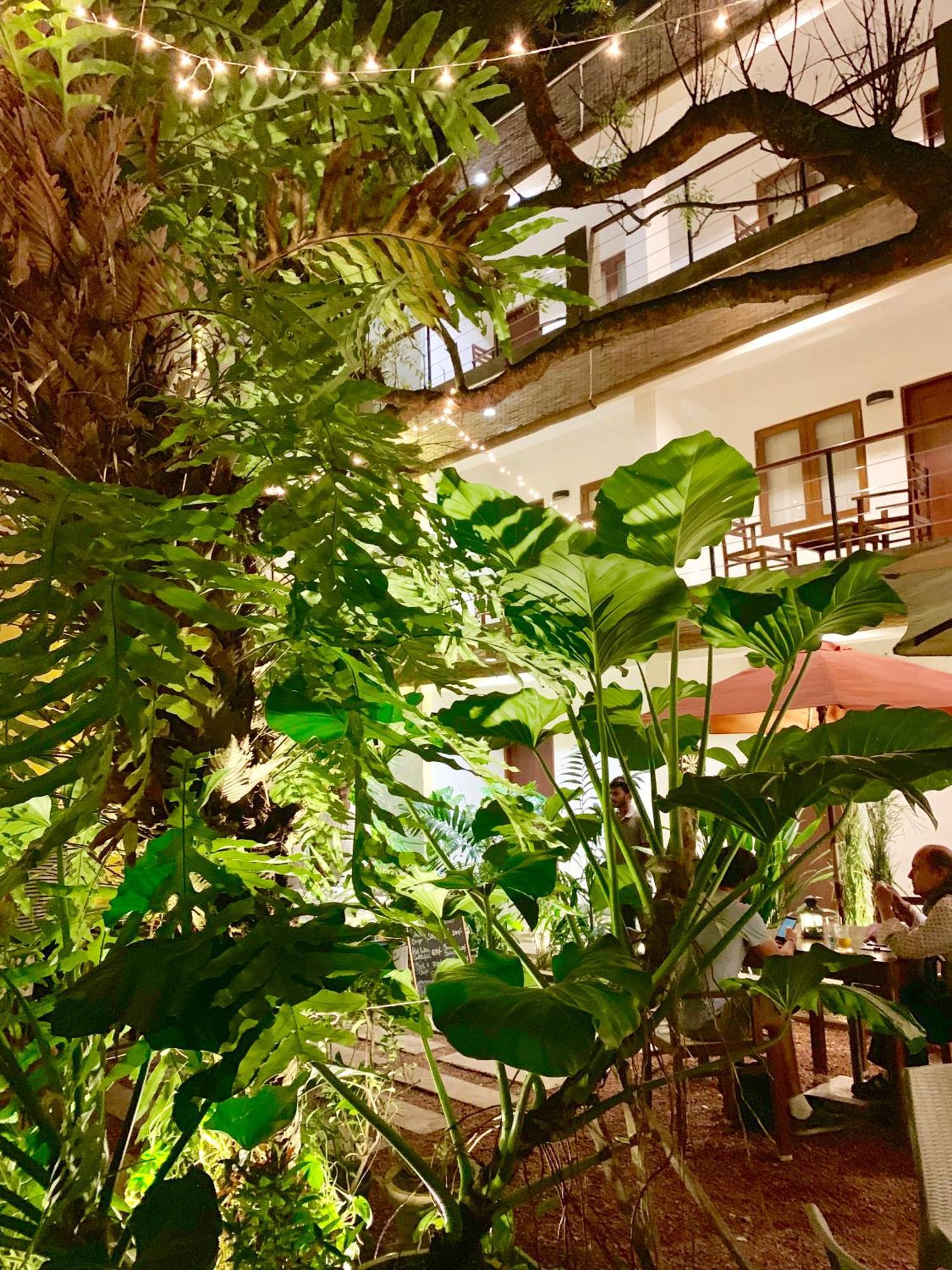 Sayura House Hotel Colombo Ngoại thất bức ảnh